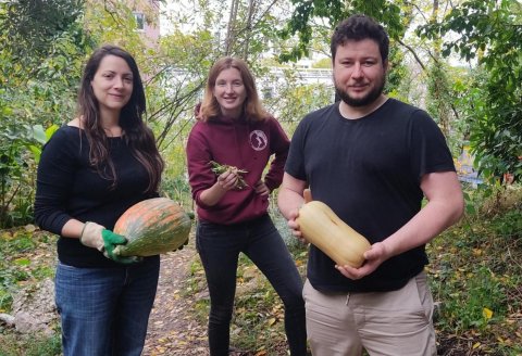 Cucurbitacées et légumineuses