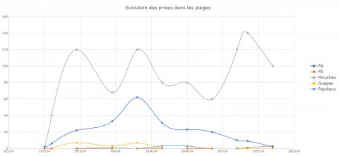 piégeage de Frelons Asiatiques au printemps 2024 Campagne de piégeage printemps 2024