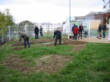 Aménagement Jardin Aménagement Jardin