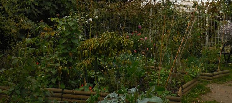 Parcelles Jardin partagé Parcelles Jardin Partagé