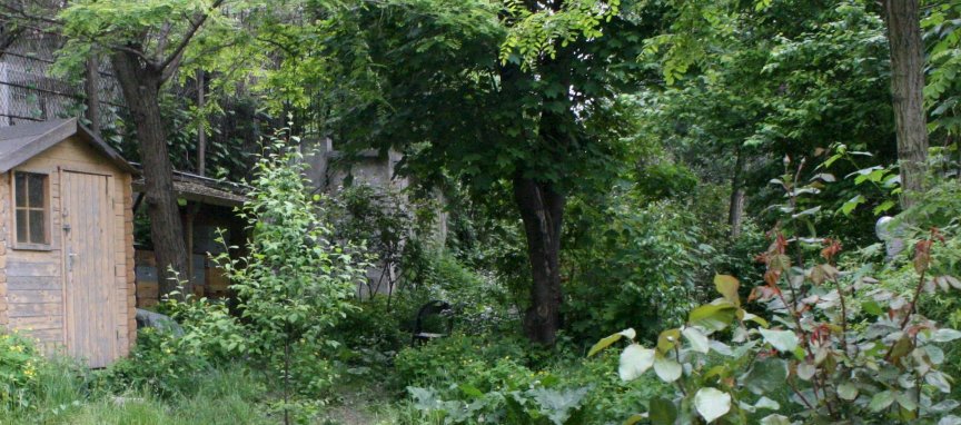 au jardin, on y est bien