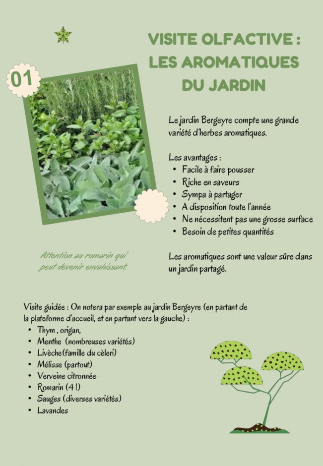 Fiche Thématique Aromatiques