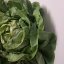 Salade