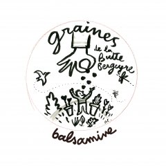 graines de Balsamine graines de Balsamine