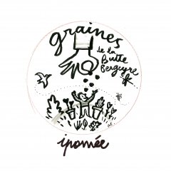 Graines d'Ipomée du jardin Graines d'Ipomée du jardin