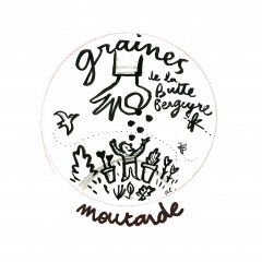 Graines de Moutarde du Jardin Graines de Moutarde du Jardin