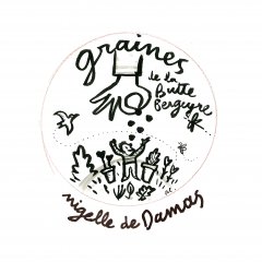 Graines de Nigelles du jardin Graines de Nigelles du jardin