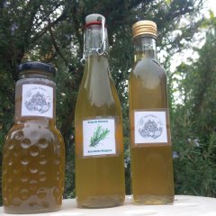 Sirop de Romarin de la Butte Bergeyre Sirop de Romarin de la Butte Bergeyre