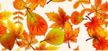 Planning AHBB Automne 2025
