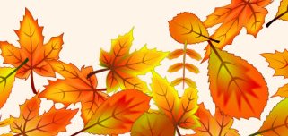 Planning AHBB Automne 2025